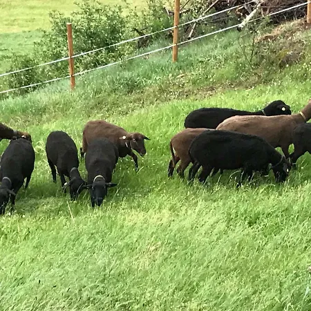 Almhof Zillertal * Aschau Im Zillertal